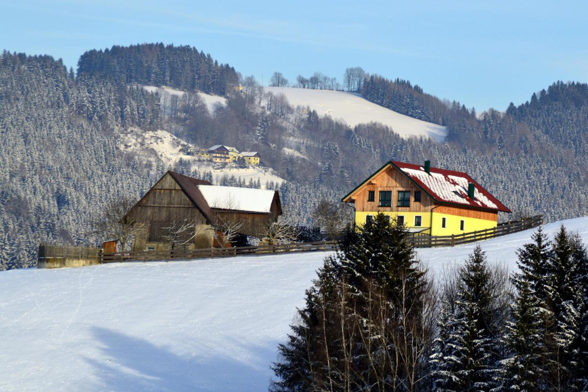 Almferienhaus Russmann Frantschach Esterno foto